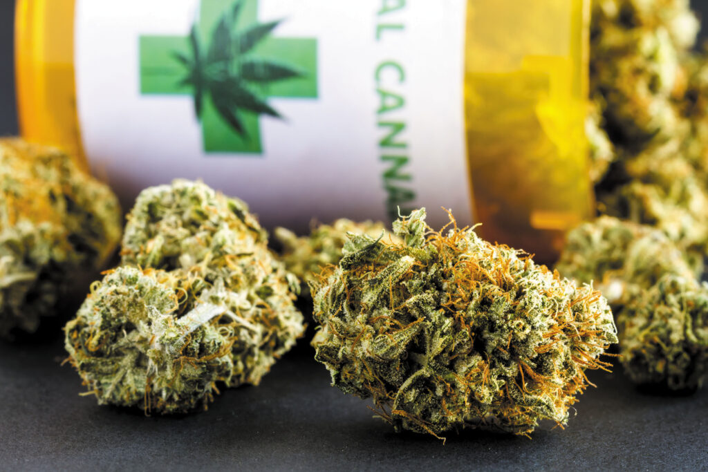 medical pot doctors