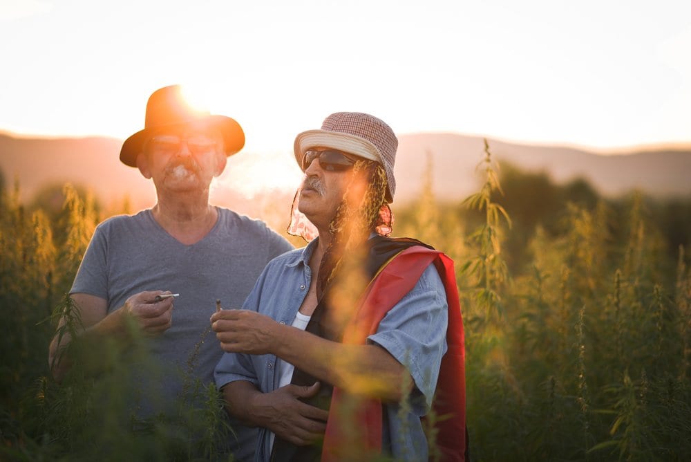 medical marijuana card Phoenix AZ