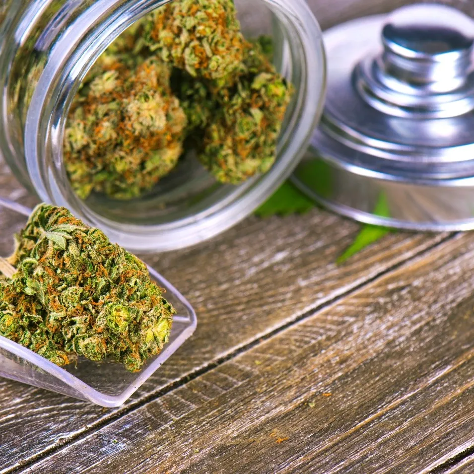 Arizona Medical Mmj