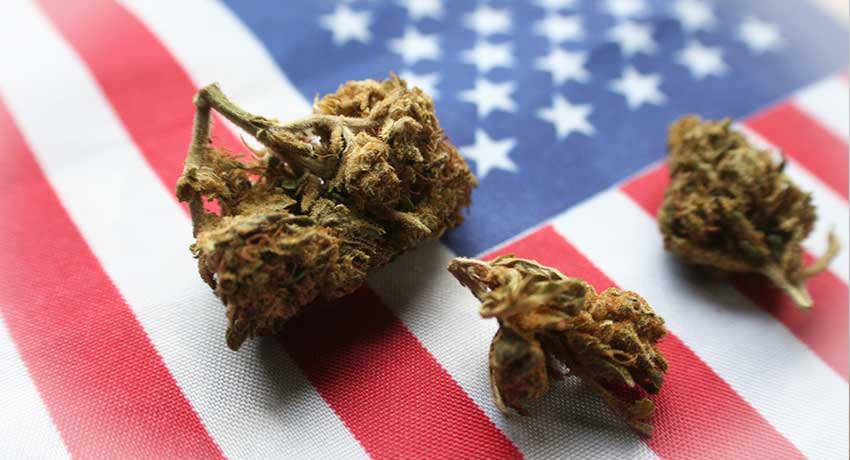 Arizona Medical Mmj